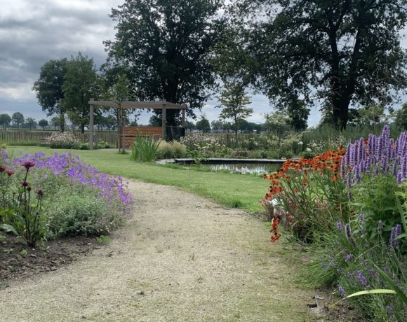 Wandeltuin bij woonvoorziening