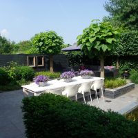 Moderne Achtertuin