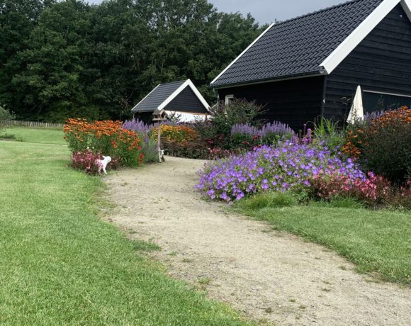 Wandeltuin bij woonvoorziening