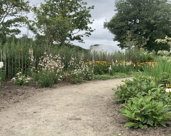 Wandeltuin bij woonvoorziening