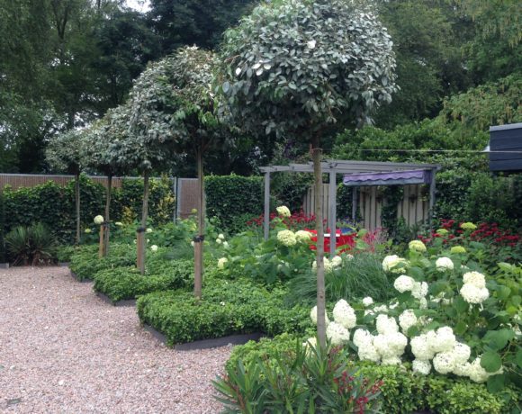 Moderne gebruiksvriendelijke tuin te Zeeland